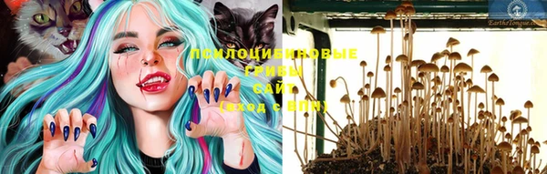 дмт Абинск