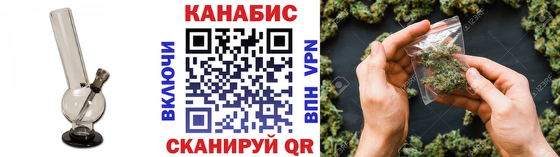 Шишки марихуана марихуана  Сураж 